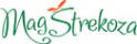 Логотип компании MagStrekoza