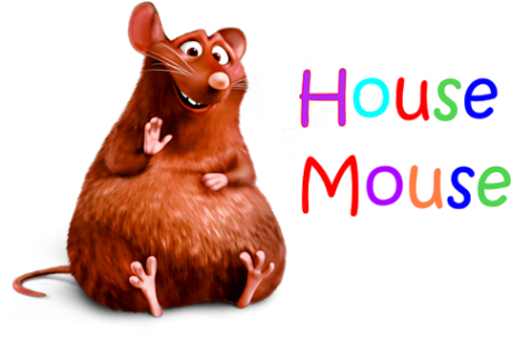Логотип компании House Mouse